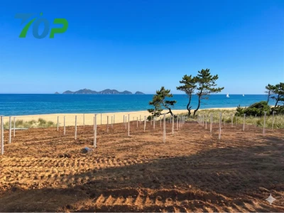溶融亜鉛メッキ(HDG)処理された太陽光発電用スクリュー杭|高耐久防錆仕様